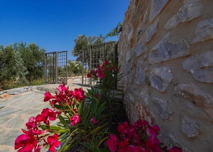 Boutique House Thalassori * آغيوس نيكولاوس